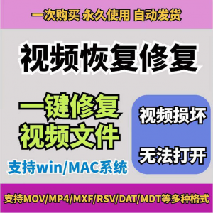 损坏MP4视频修复软件断电恢复工具短片导出摄像机视频文件修复-闲鱼虚拟仓