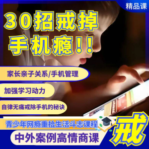 戒瘾网瘾视频教程全套管理技巧亲子关系学习动力在线课程-闲鱼虚拟仓