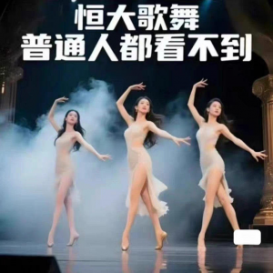 H大歌舞团绝美视频经典国风舞蹈题库纯音乐跳舞表演高清无损-闲鱼虚拟仓