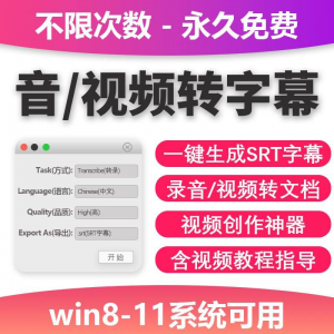 视频转字幕软件srt字幕提取制作多种语言选择不限时长win电脑使用-闲鱼虚拟仓