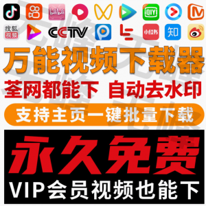 抖音快手短视频批量下载无水印西瓜下载软件网页一键采集高清素材-闲鱼虚拟仓