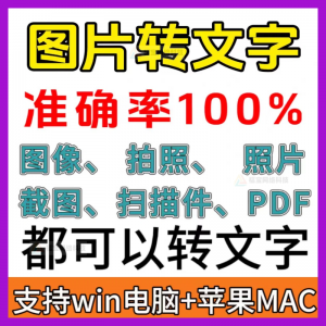 一键图片转文字拍照扫描件转Word文档Excel表格提取助手-闲鱼虚拟仓