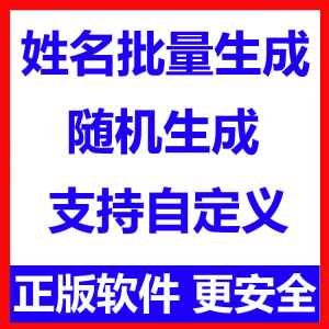姓名批量生成工具 用户名随机不重复生成软件 可自定义-闲鱼虚拟仓
