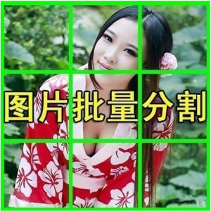 图片批量切割软件 图片批量分割工具 批量切图器 图片批量裁剪-闲鱼虚拟仓