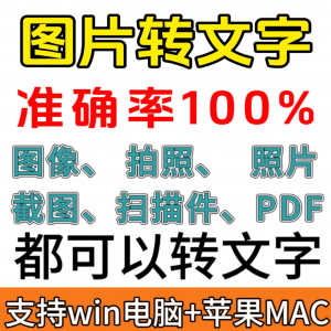 图像图片照片拍照扫描件格式转文字采集转换word转成ppt提取excel-闲鱼虚拟仓