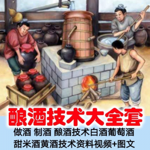 土法做酒 制酒 酿酒造酒技术白酒葡萄酒甜米酒黄酒资料视频+图文-闲鱼虚拟仓