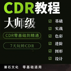 cdr教程视频Coreldraw自学平面设计广告排版零基础入门学习课程-闲鱼虚拟仓