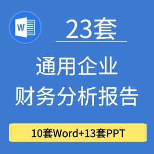 23套通用企业公司年度财务分析报告word电子文档模板PPT演示-闲鱼虚拟仓
