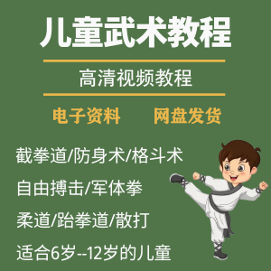 少儿童武术视频教程零基础自学咏春散打擒拿泰拳跆拳道防身术课程-闲鱼虚拟仓