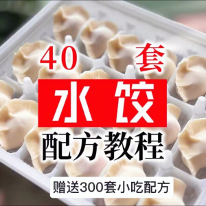 【0.01秒发】40套水饺技术配方 特制技术视频教程-闲鱼虚拟仓
