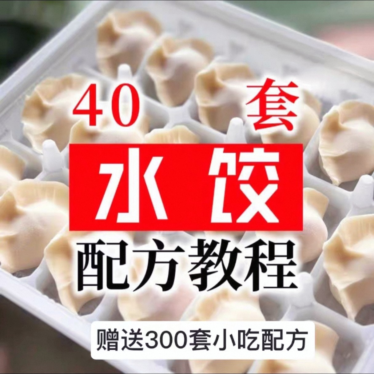 【0.01秒发】40套水饺技术配方 特制技术视频教程-闲鱼虚拟仓