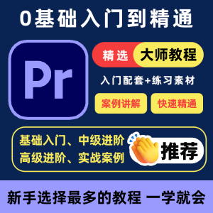PR教程零基础入门学习premiere pro教学视频剪辑软件课程练习素材-闲鱼虚拟仓