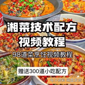 【0.01秒发】98道湘菜技术配方视频教程商用湖南菜炒菜特色小吃-闲鱼虚拟仓