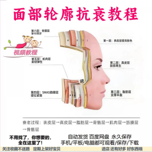 美商课程面部轮廓抗衰美肤减龄变美视频教程形象管理内在美好气色-闲鱼虚拟仓