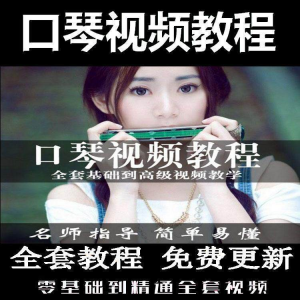 口琴自学教程视频零基础初学者入门到专业十孔24孔教学-闲鱼虚拟仓
