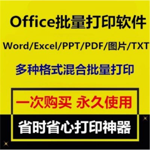 Office批量打印软件工具 Word/Excel/PPT/图片/PDF批量打印软件-闲鱼虚拟仓