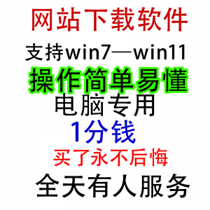 扒站扒网站扒网页扒全站下载修改下载软件克隆工具抓取拷贝单页-闲鱼虚拟仓