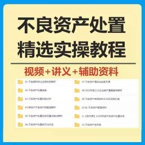 不良资产处置实操教程 不良资产视频 不良资产尽职调查资料-闲鱼虚拟仓