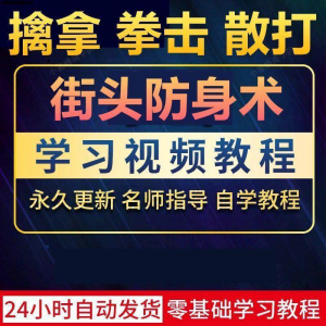 街头防身术擒拿拳击散打视频教程全套入门自学零基础学习教程视频-闲鱼虚拟仓