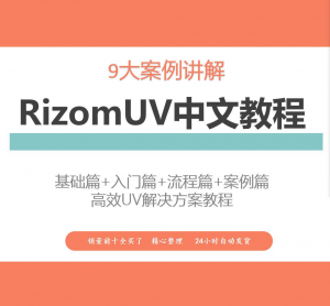 RizomUV中文教程高效UV解决方案视频教学零基础入门自学软件入门-闲鱼虚拟仓