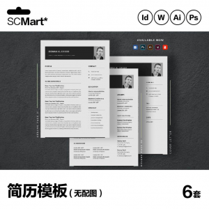 6套高级英文简历Word简历 ai psd设计师简历模板毕业生简历CV29-闲鱼虚拟仓