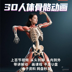 中医人体骨骼肌肉学习3D动态讲解演示视频自学零基础中医人体高考-闲鱼虚拟仓